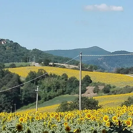 B&B Nicoletta * Morleschio
